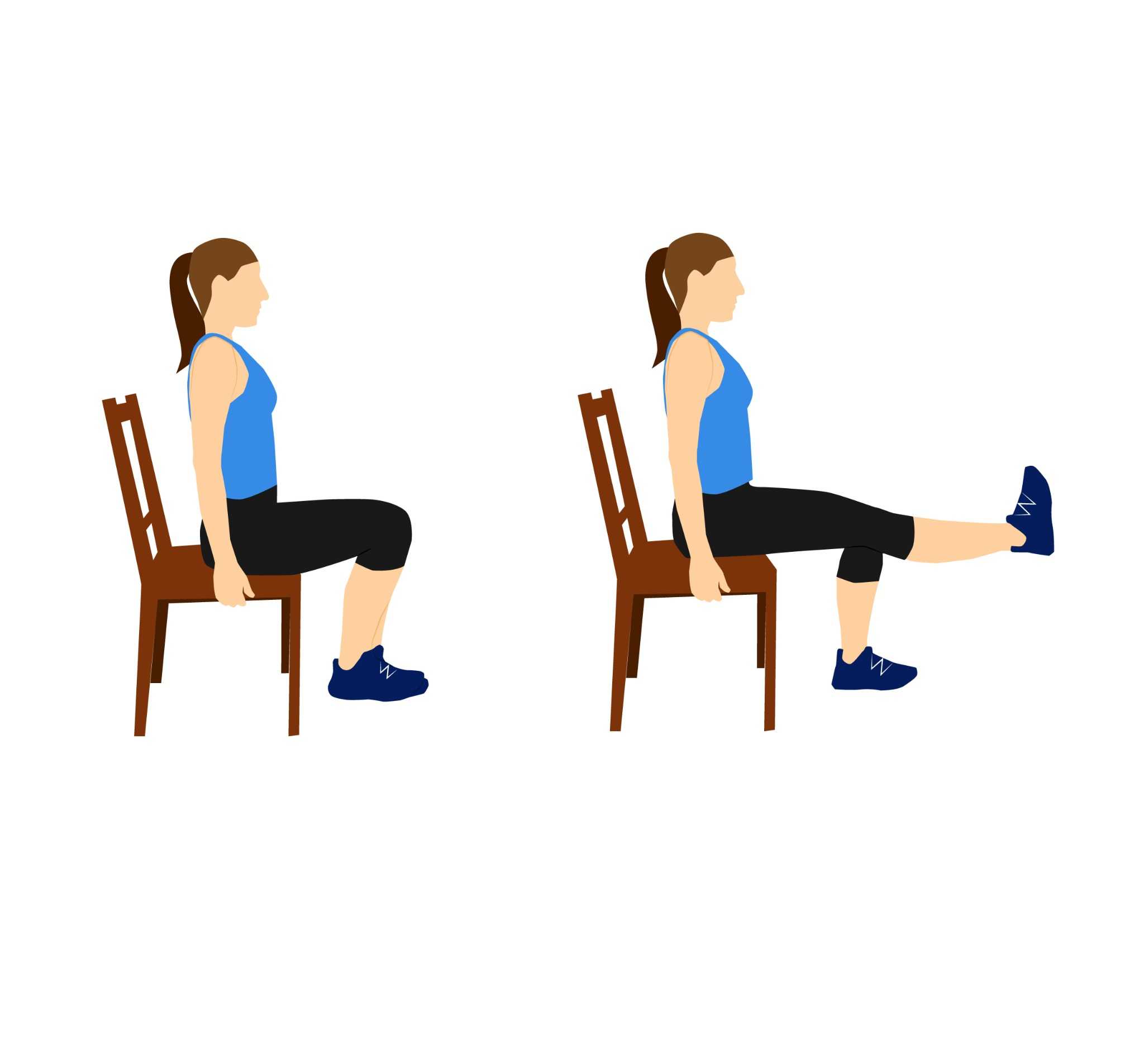 seated knee extension