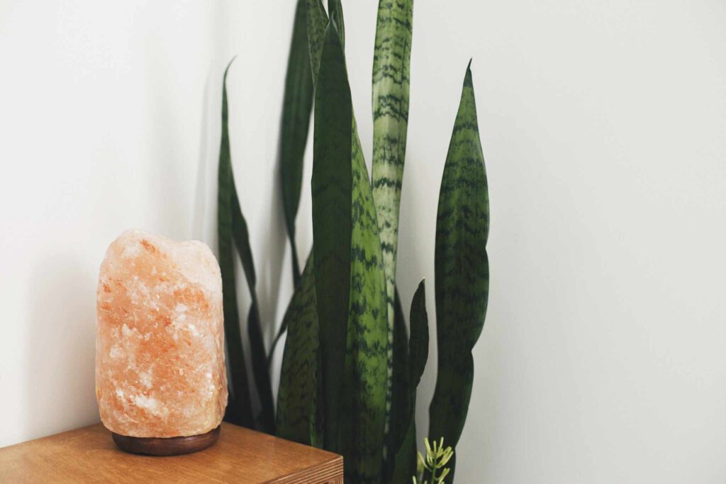 Rock salt lamp and snake plant